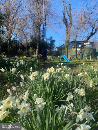 a view of a yard in front of house