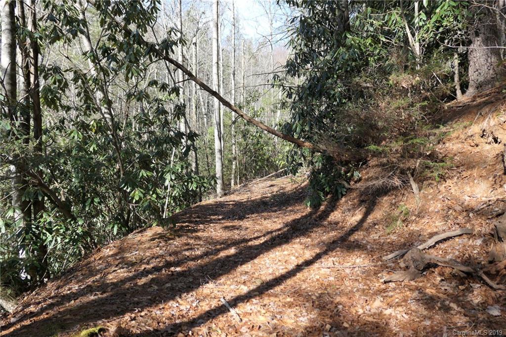 5.14-acres Oak Ridge Road Hendersonville, NC 28792 - Photo 11 of 16 Gallery Image 11