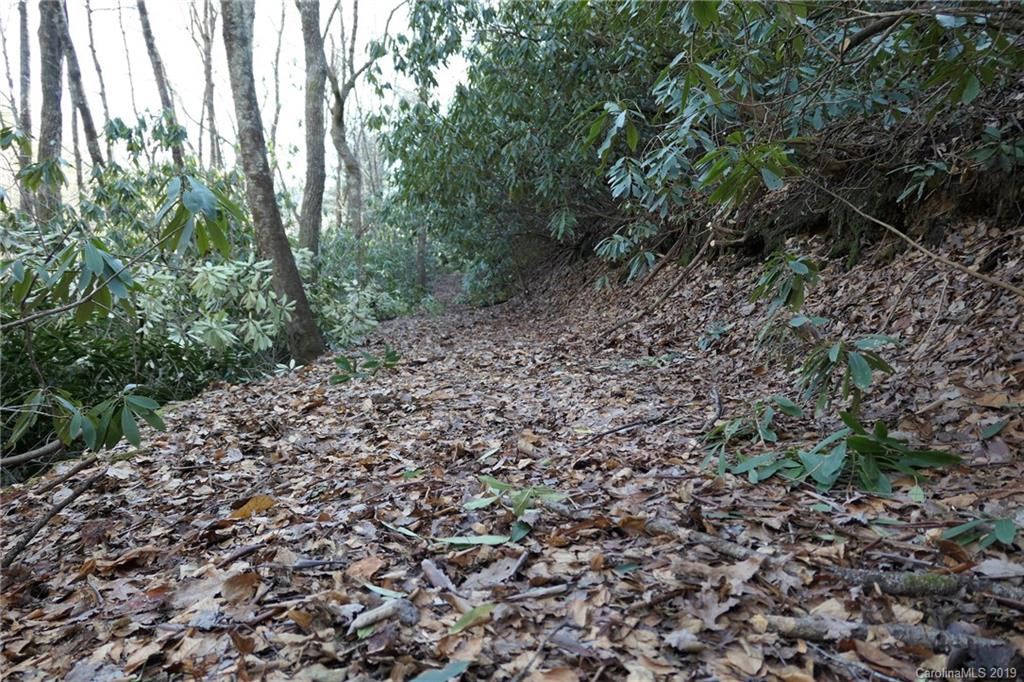 5.14-acres Oak Ridge Road Hendersonville, NC 28792 - Photo 14 of 16 Gallery Image 14