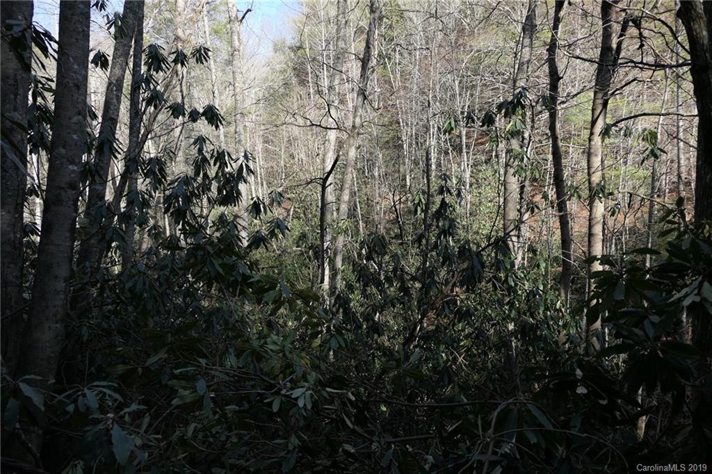 5.14-acres Oak Ridge Road Hendersonville, NC 28792 - Photo 16 of 16 Gallery Image 16