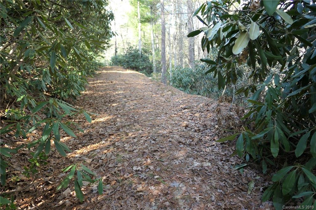 5.14-acres Oak Ridge Road Hendersonville, NC 28792 - Photo 5 of 16 Gallery Image 5
