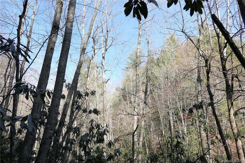 5.14-acres Oak Ridge Road Hendersonville, NC 28792 - Photo 9 of 16 Gallery Image 9