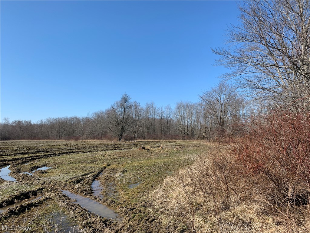 Brown Road Jefferson, OH 44047 - Photo 8 of 31 Gallery Image 8