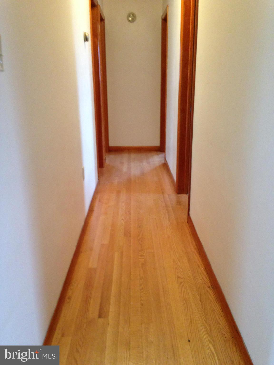2901 Papermill Road Winchester, VA 22601 - Photo 7 of 14 Hallway
