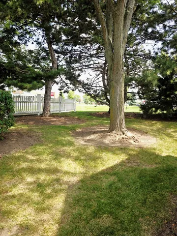 a view of an outdoor space and yard