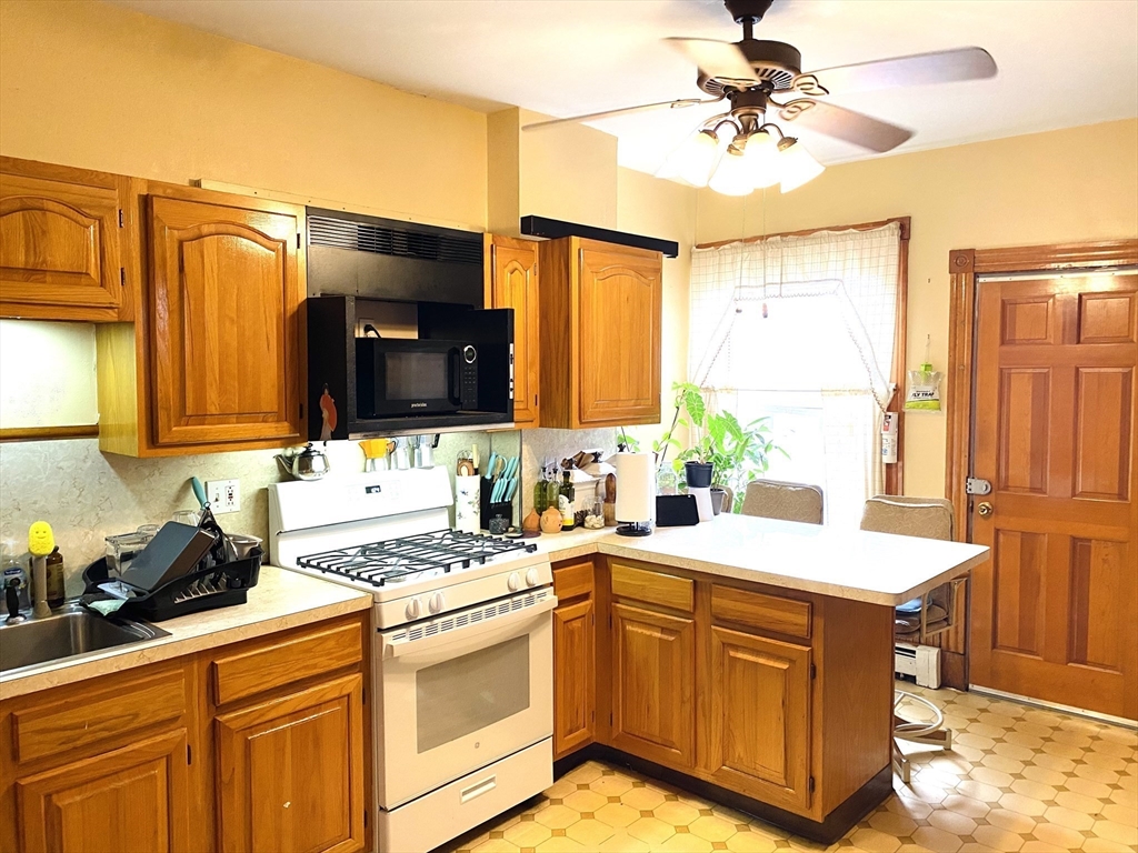 19 Castlegate Road Boston, MA 02121 - Photo 20 of 26 Gallery Image 20