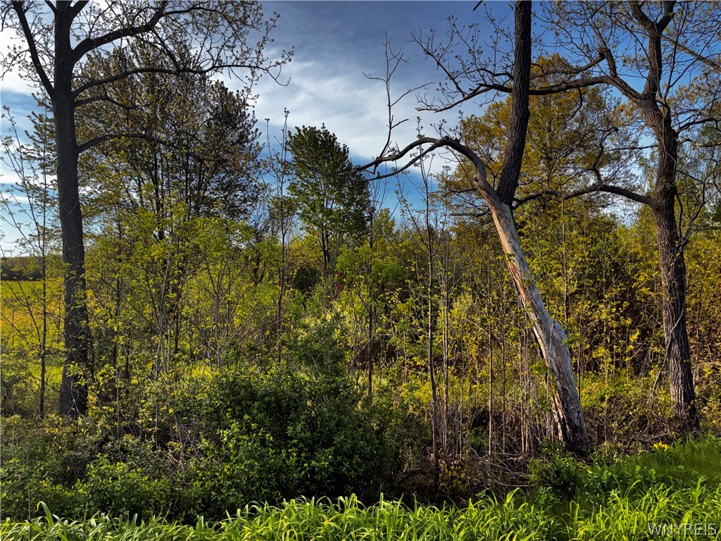 2330 Ridge Road Ransomville, NY 14131 - Photo 4 of 31