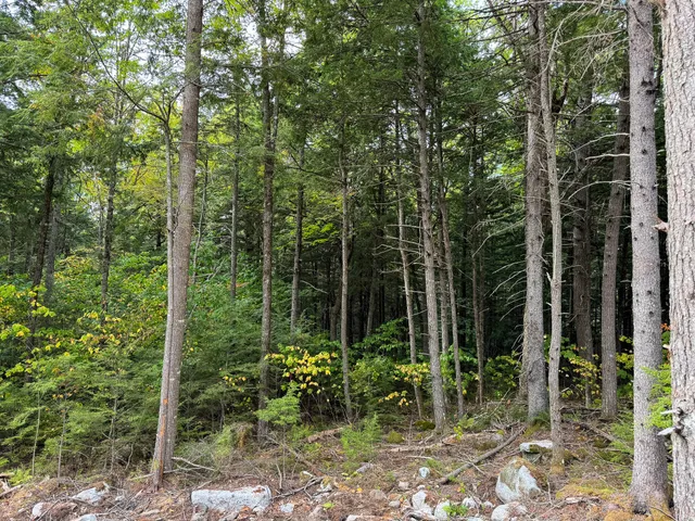 $249,900 | P/o M6-l2 P/o M6-l2 Fern Ridge Road, Enfield, ME 04493