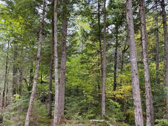 $249,900 | P/o M6-l2 P/o M6-l2 Fern Ridge Road, Enfield, ME 04493