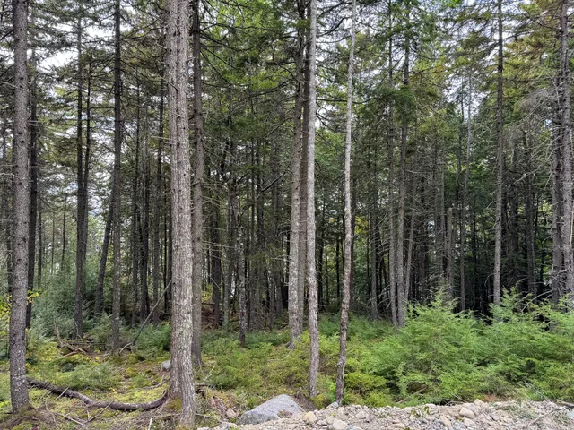 $249,900 | P/o M6-l2 P/o M6-l2 Fern Ridge Road, Enfield, ME 04493