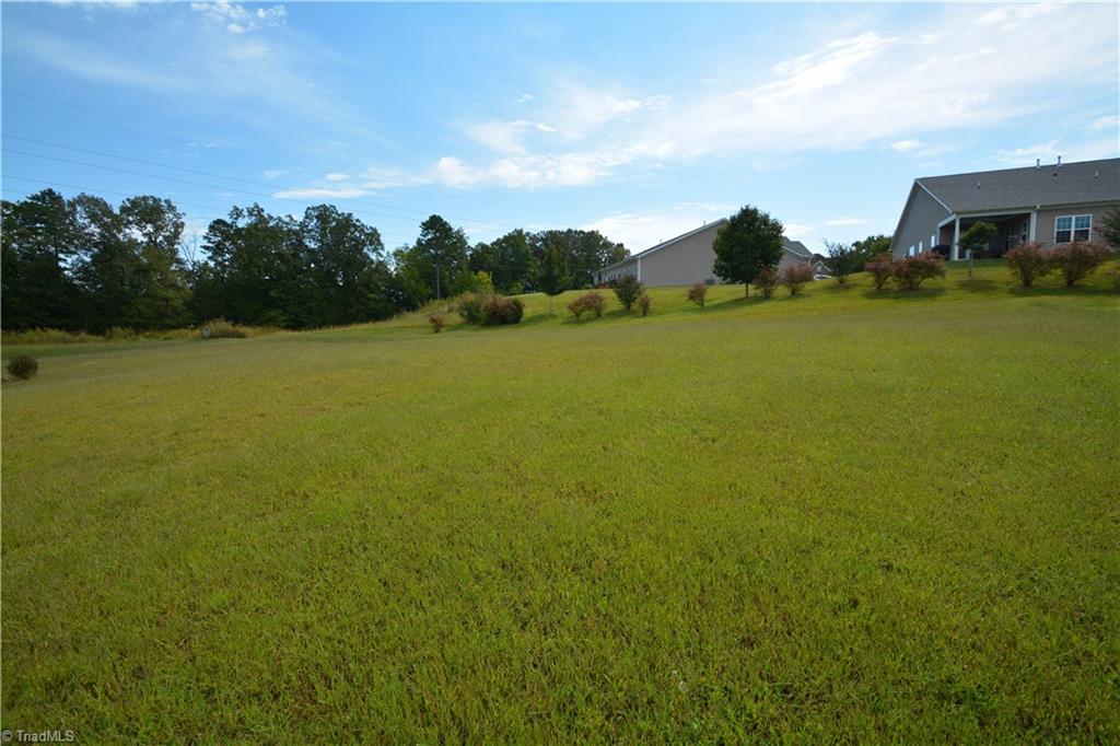 1413 Raspberry Run Graham, NC 27253 - Photo 3 of 8 Gallery Image 3