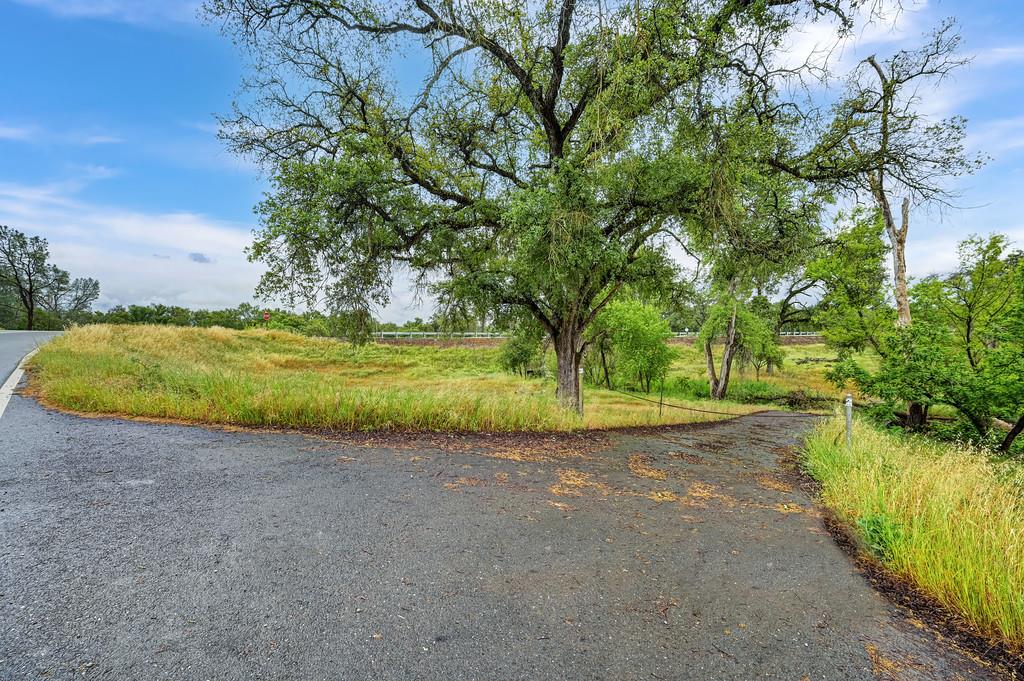 9324 Browns Valley School Road Browns Valley, CA 95918 - Photo 5 of 7