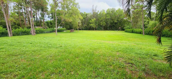 a view of a field with a trees in the background