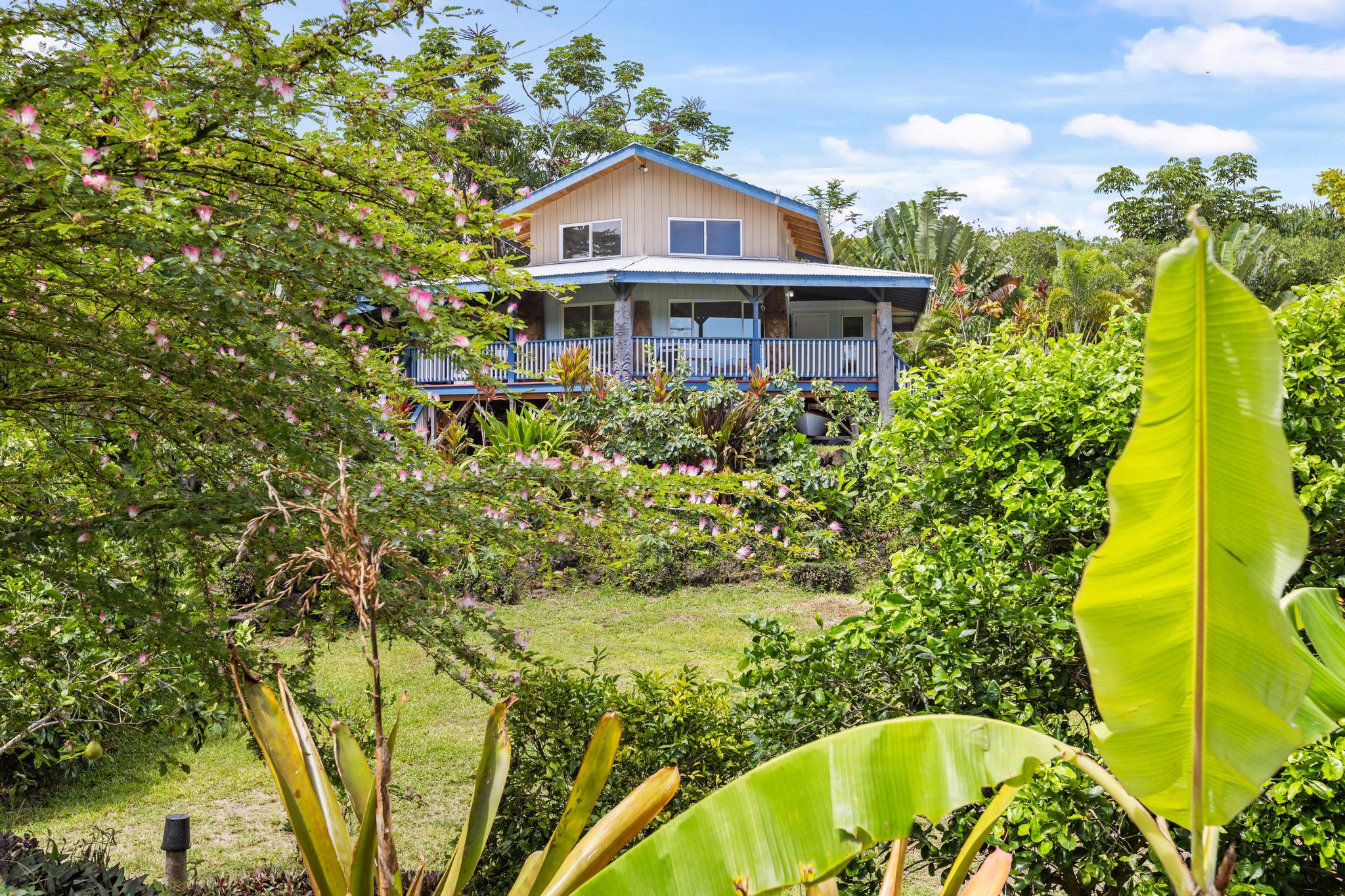 14-3734 Government Beach Road Pahoa, HI 96778 - Photo 2 of 26
