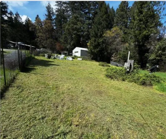 a backyard of a house with lots of green space
