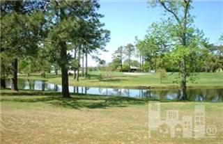723 Olde Point Road Hampstead, NC 28443 - Photo 4 of 4 Additional Photo