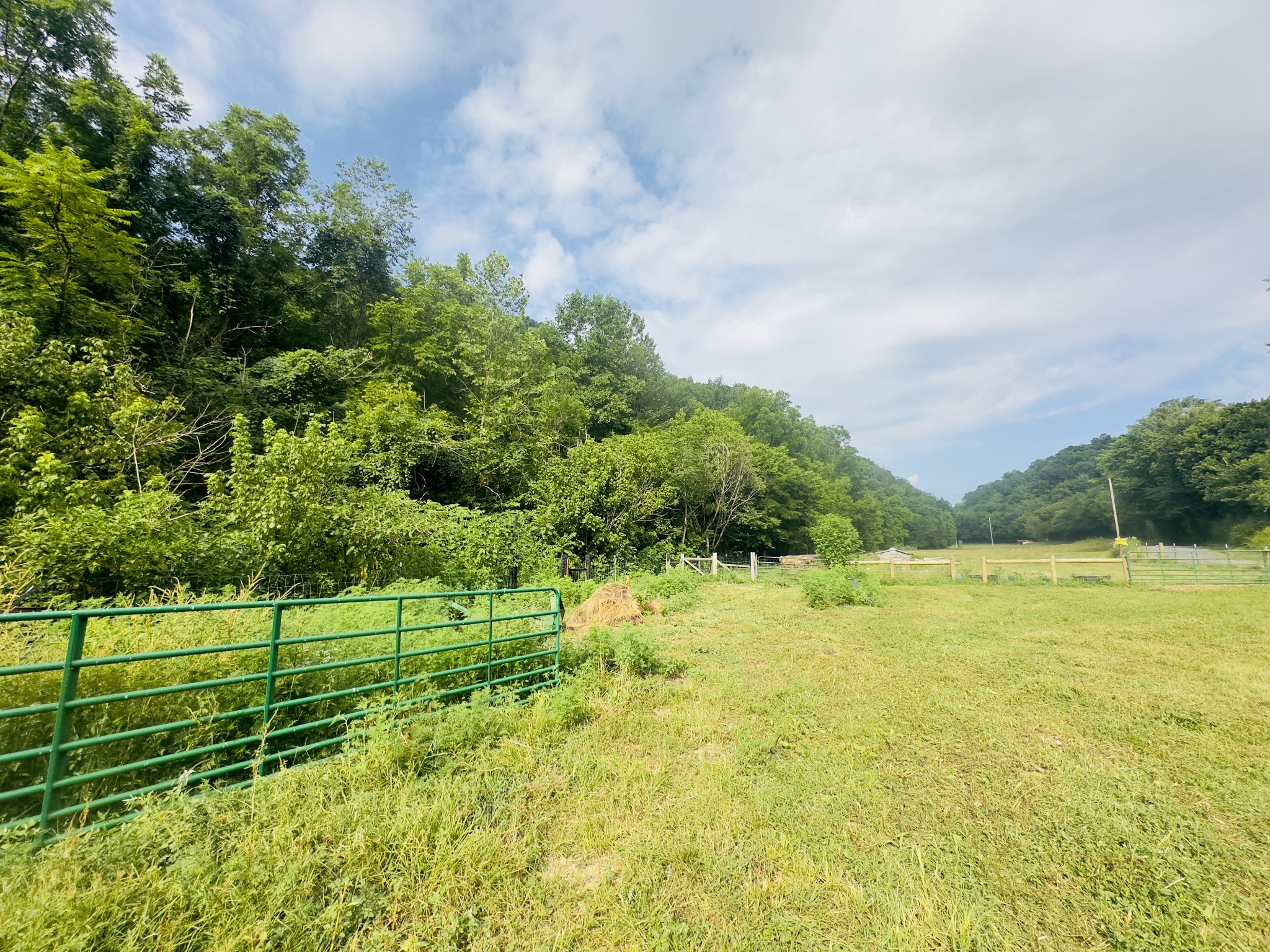 1611 Knob Creek Road Celina, TN 38551 - Photo 26 of 48