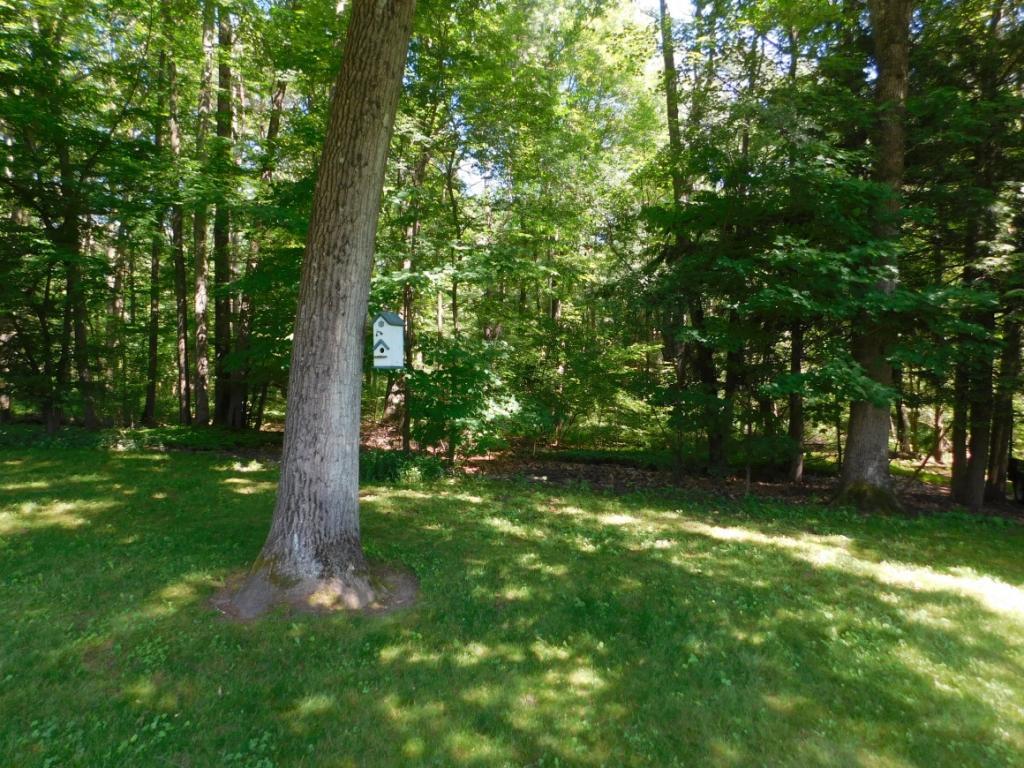 238 Ridgefield Road Endicott, NY 13760 - Photo 30 of 30 Gallery Image 30