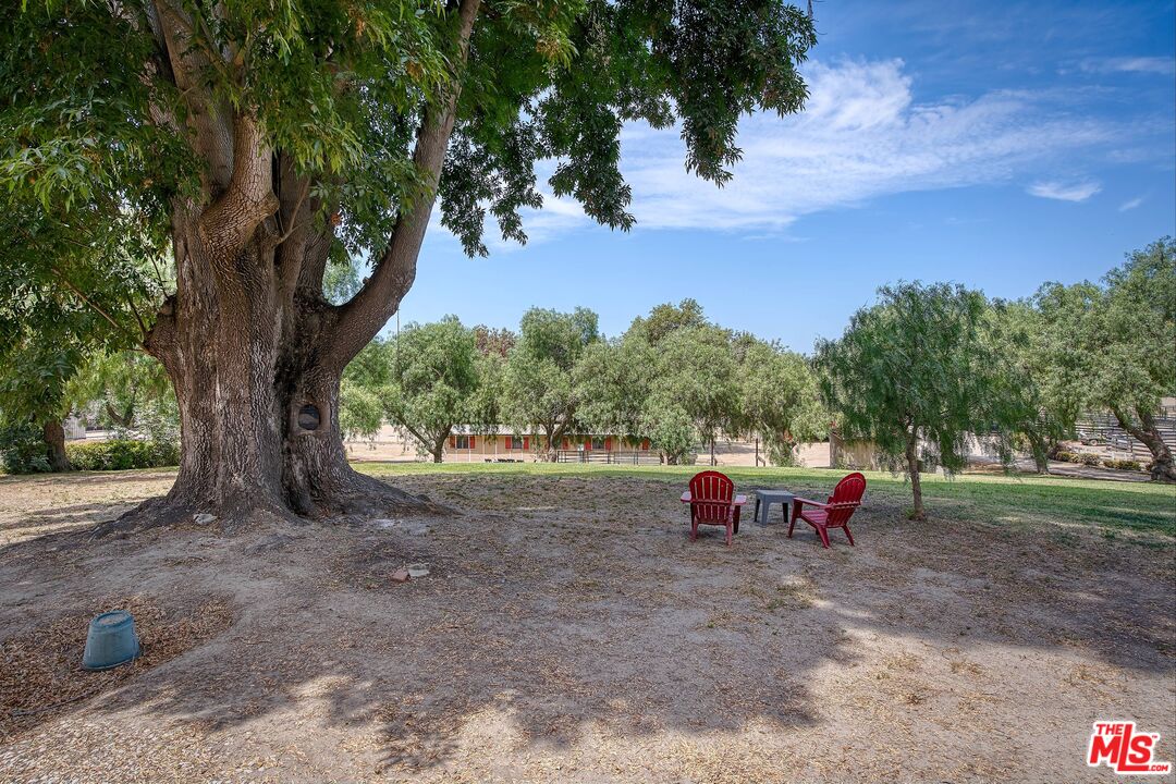 5565 Balcom Canyon Road Somis, CA 93066 - Photo 33 of 72 a view of a yard with a tree
