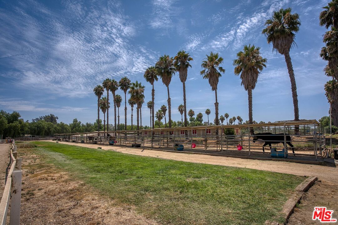 5565 Balcom Canyon Road Somis, CA 93066 - Photo 47 of 72 a view of outdoor space with garden and trees