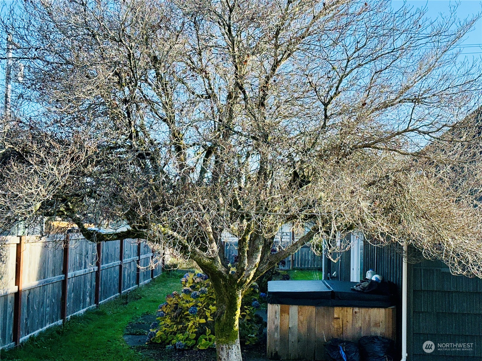 1033 3rd Street Cosmopolis, WA 98537 - Photo 20 of 20 Gallery Image 20