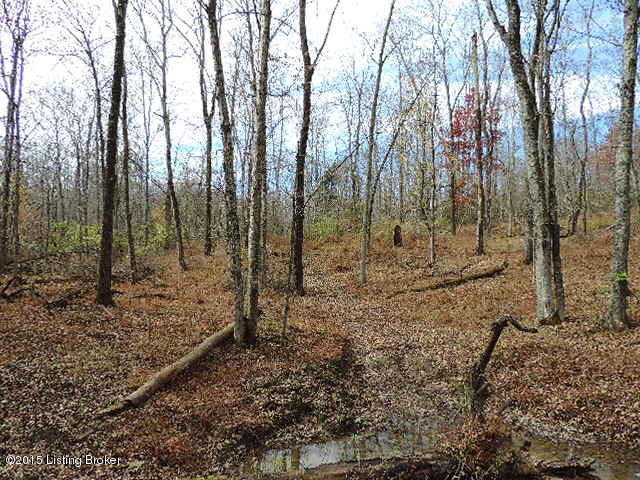 3098 Sulphur Road Sulphur, KY 40070 - Photo 33 of 48 3098 Sulphur Road 054
