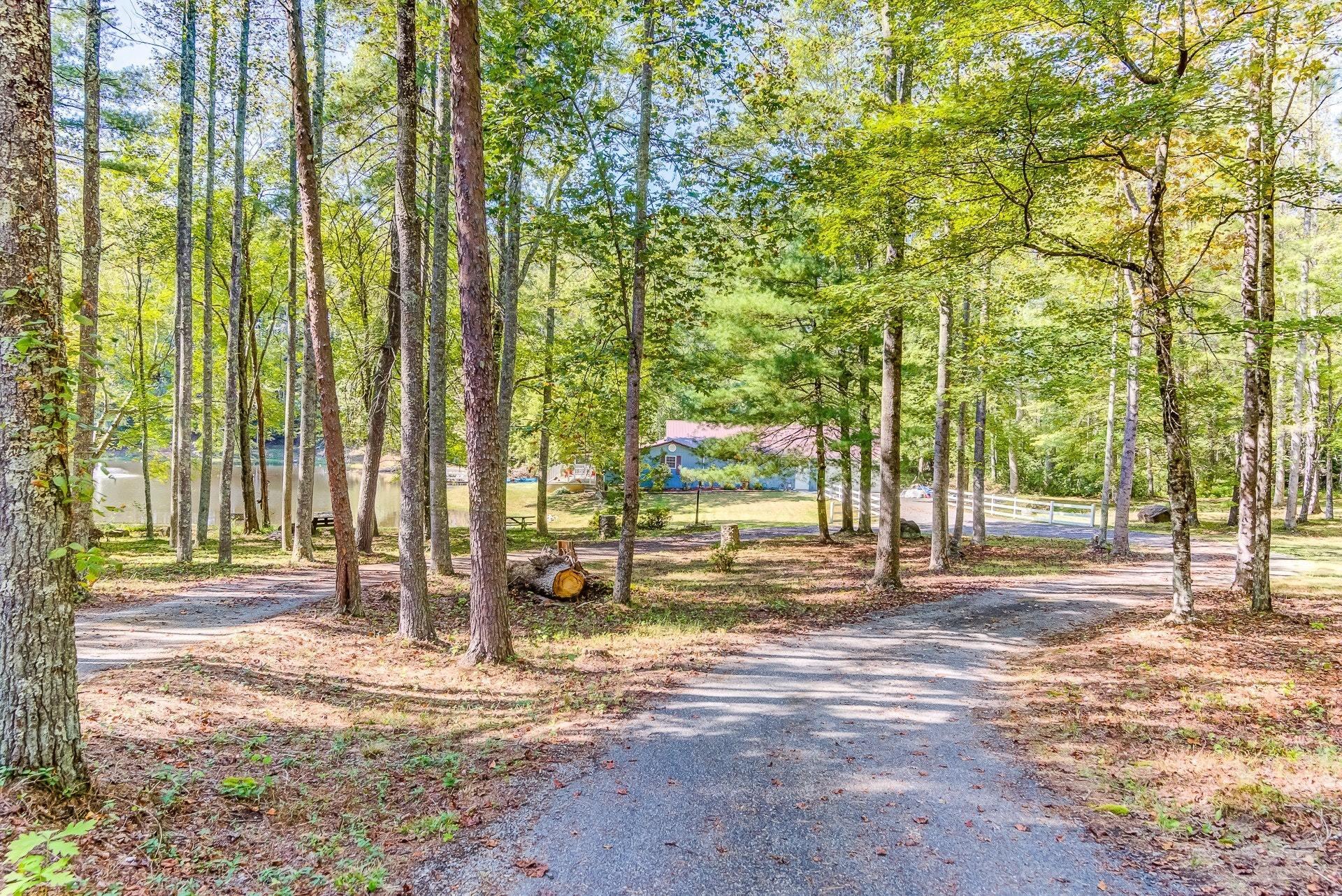 5028 Henry Road Henry, VA 24102 - Photo 6 of 44 a view of road with large trees