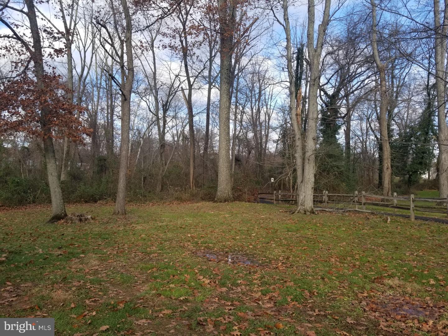1916 Mare Road Warrington, PA 18976 - Photo 28 of 28 Back Yard