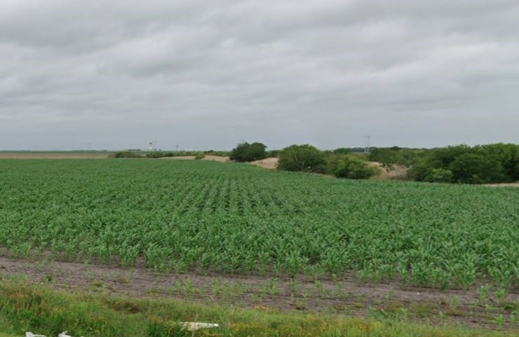 0 Old Brownsville Road Corpus Christi, TX 78417 - Photo 2 of 2 a view of a big yard with plants and large trees