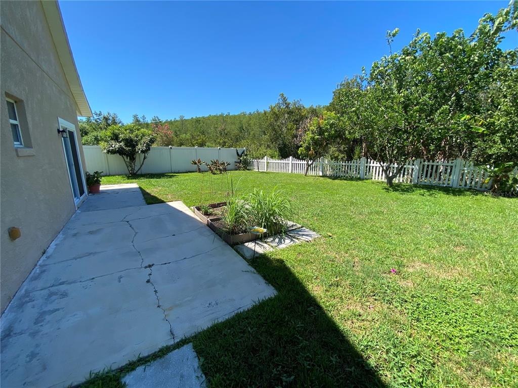 2467 Huron Circle Kissimmee, FL 34746 - Photo 24 of 26 a view of a park with large trees