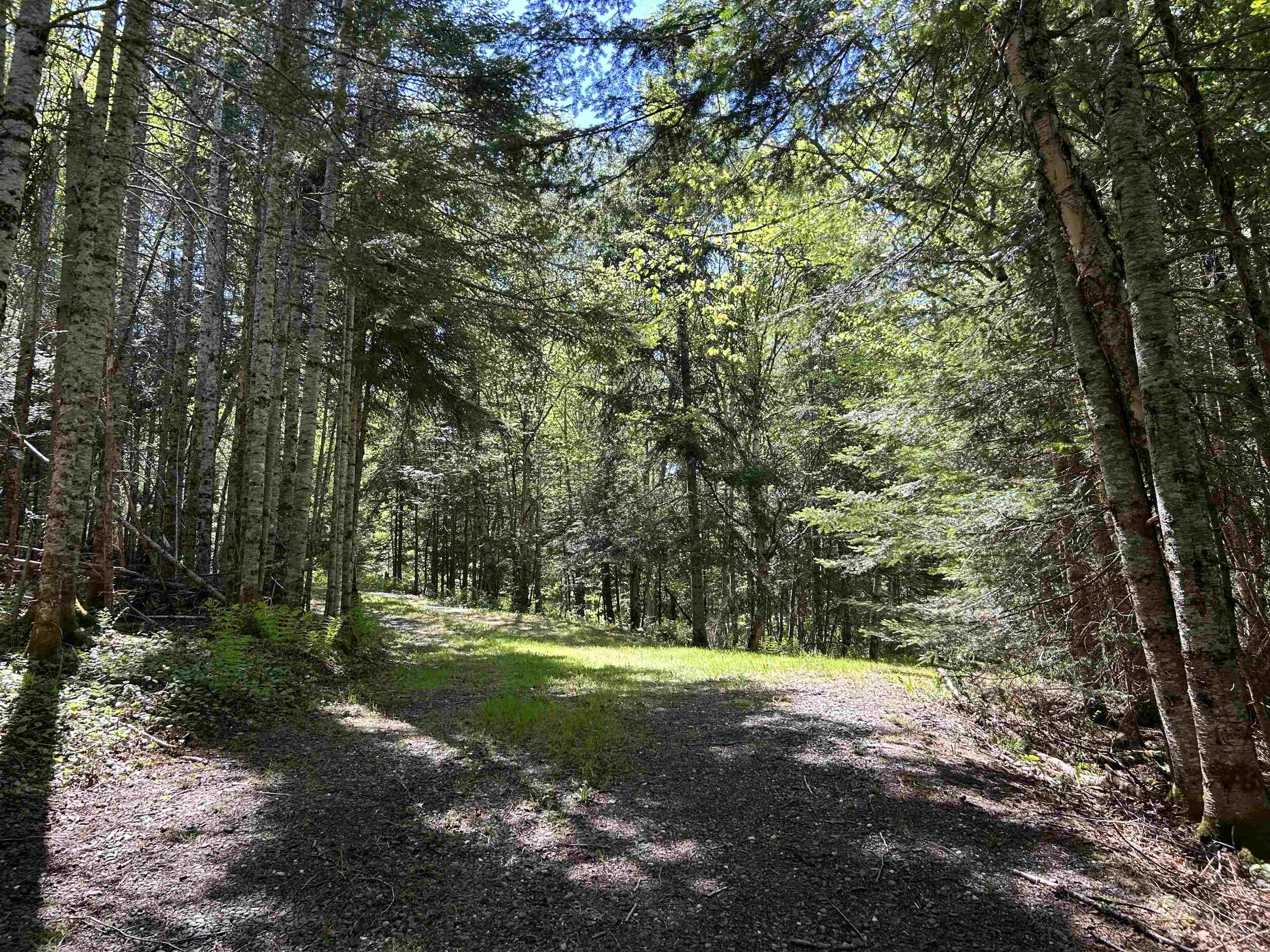 242 Noyes Road Stewartstown, NH 03576 - Photo 4 of 60