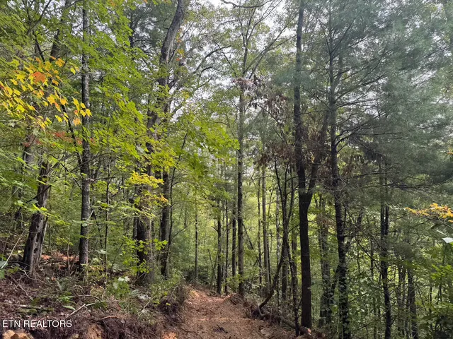 $154,900 | 0 Sheep Ranch Road, Robbins, TN 37852