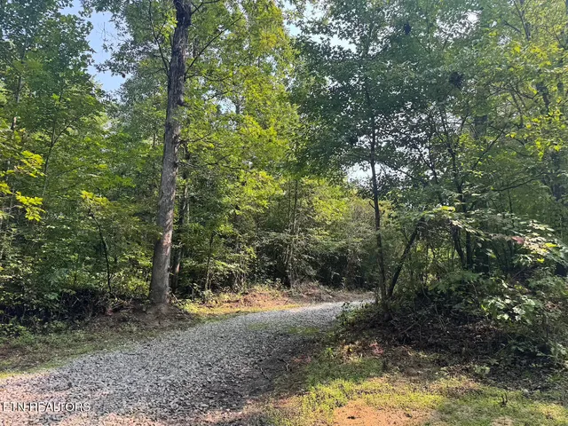 $154,900 | 0 Sheep Ranch Road, Robbins, TN 37852