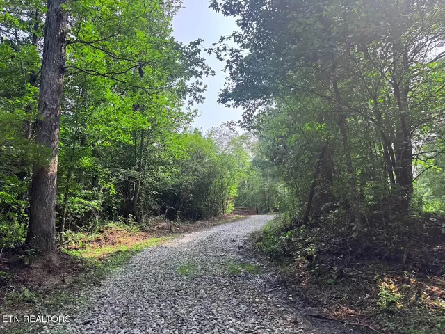 $154,900 | 0 Sheep Ranch Road, Robbins, TN 37852