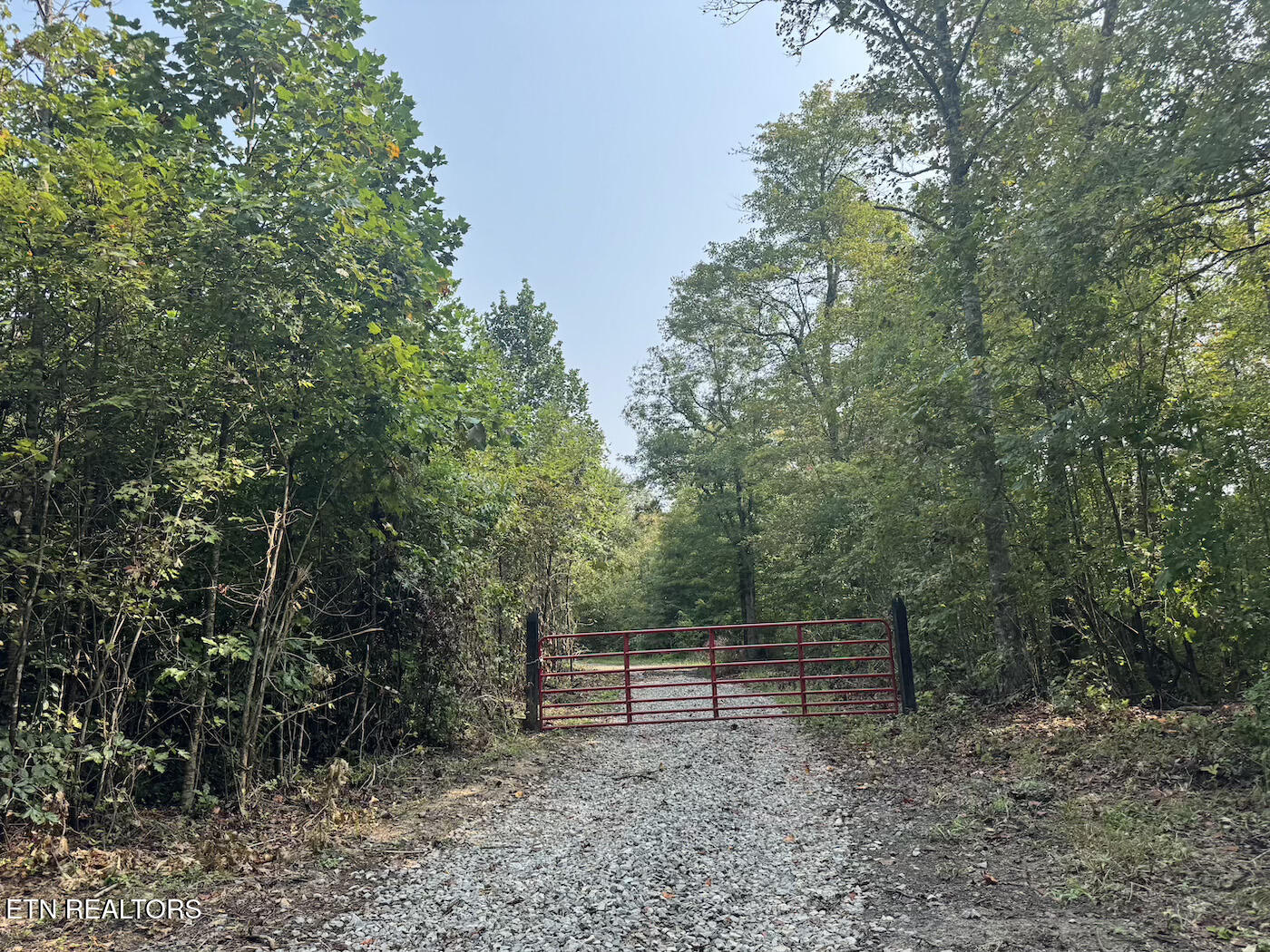 0 Sheep Ranch Road Robbins, TN 37852 - Photo 19 of 36 321.2_19 copy