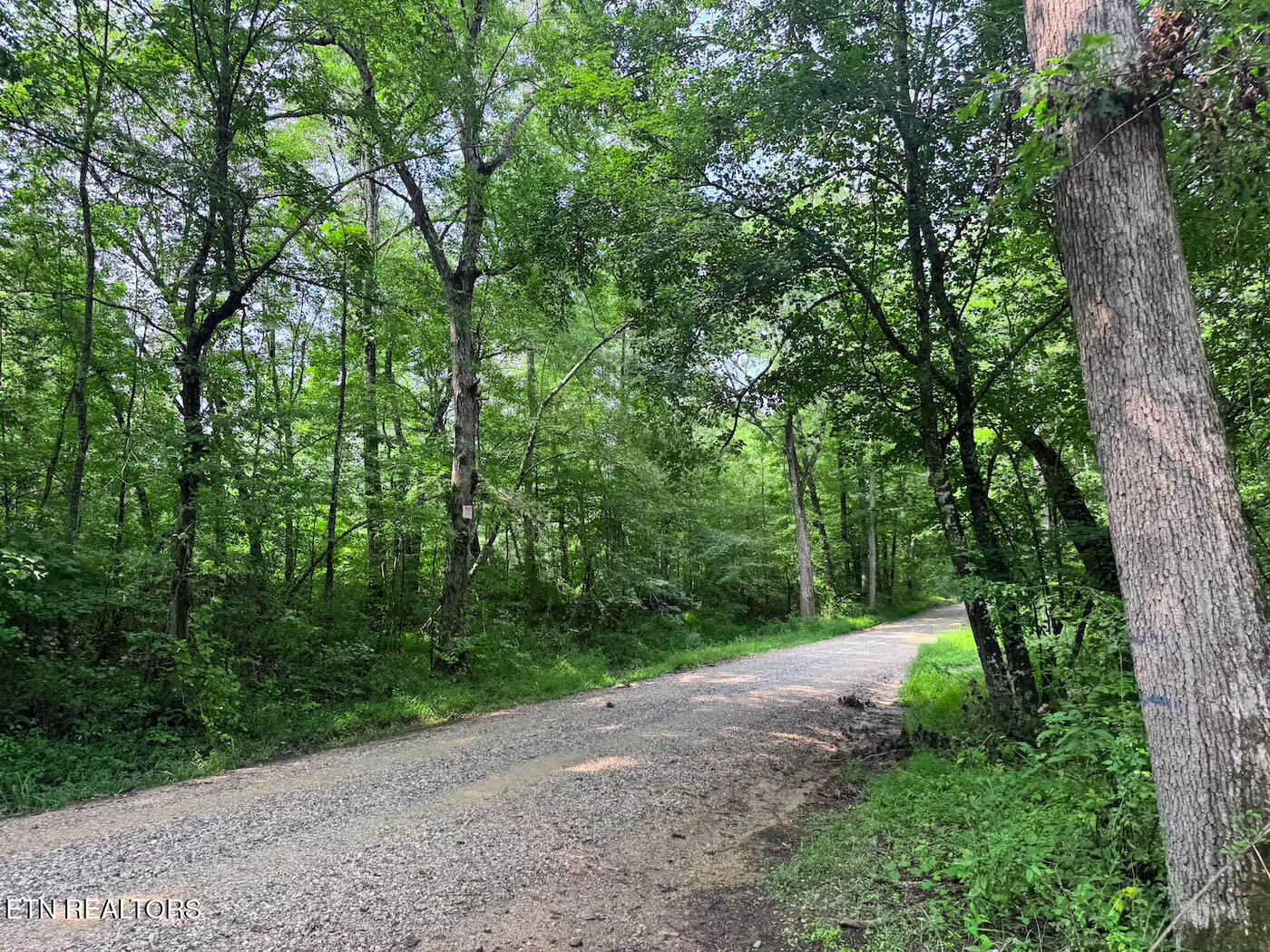 0 Sheep Ranch Road Robbins, TN 37852 - Photo 20 of 36 321.2_20