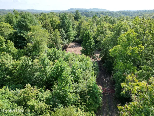 $154,900 | 0 Sheep Ranch Road, Robbins, TN 37852