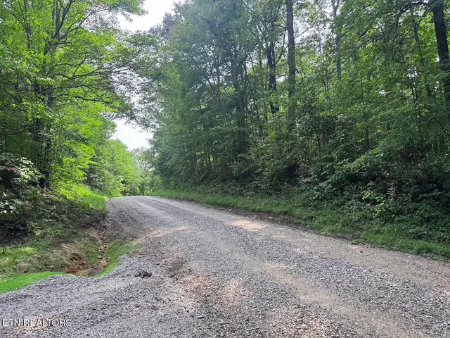 $154,900 | 0 Sheep Ranch Road, Robbins, TN 37852