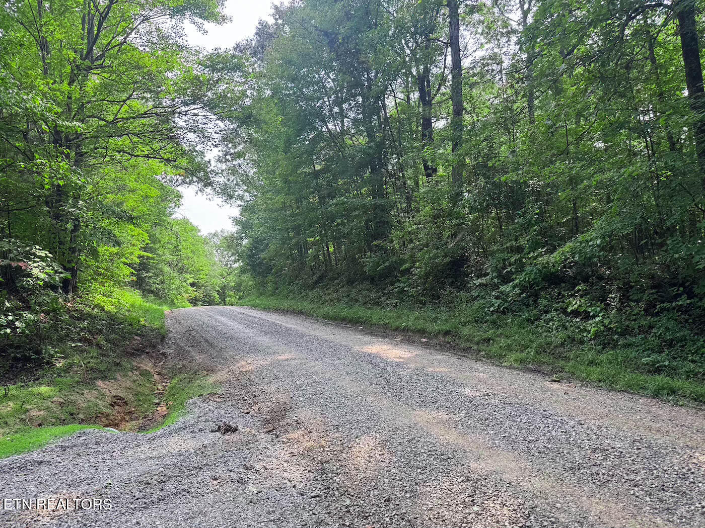 0 Sheep Ranch Road Robbins, TN 37852 - Photo 21 of 36 321.2_21