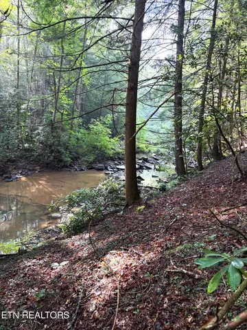 $154,900 | 0 Sheep Ranch Road, Robbins, TN 37852