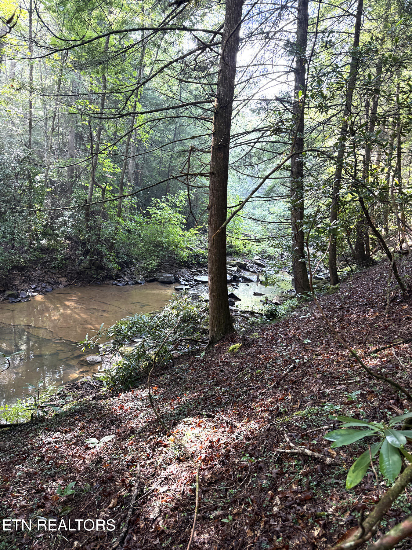 0 Sheep Ranch Road Robbins, TN 37852 - Photo 22 of 36 321.2_22