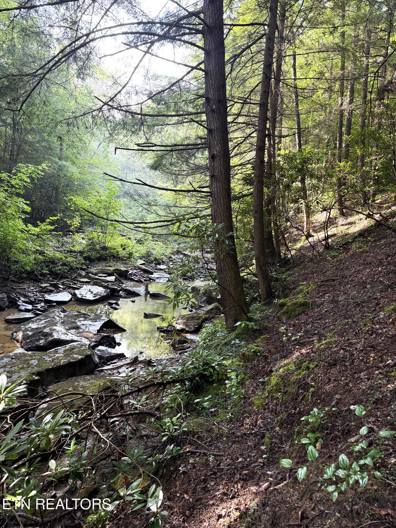 0 Sheep Ranch Road Robbins, TN 37852 - Photo 23 of 36 321.2_23