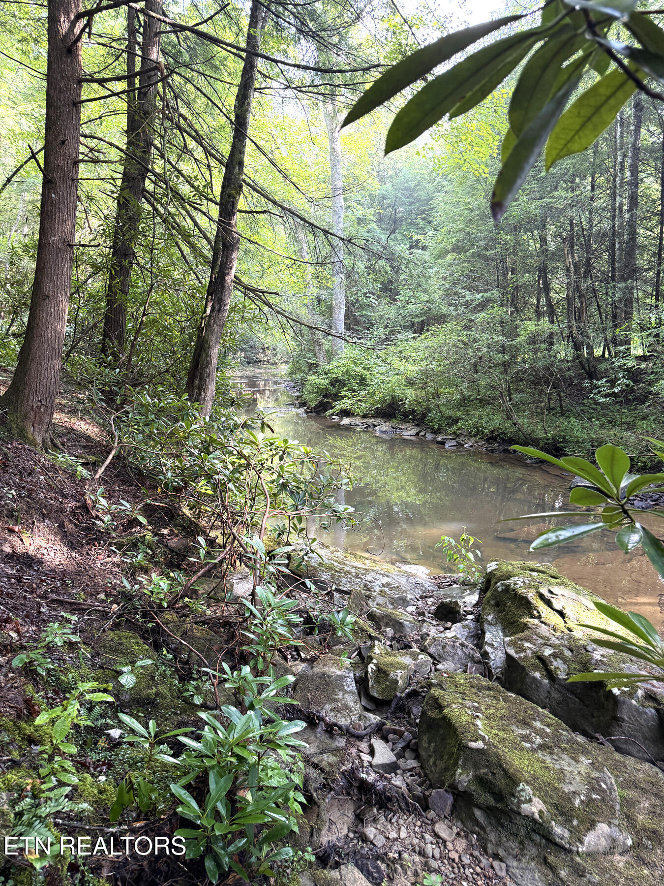 0 Sheep Ranch Road Robbins, TN 37852 - Photo 24 of 36 321.2_24