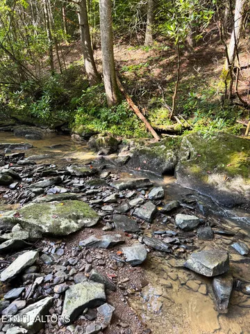 $154,900 | 0 Sheep Ranch Road, Robbins, TN 37852