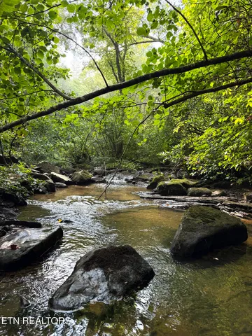 $154,900 | 0 Sheep Ranch Road, Robbins, TN 37852