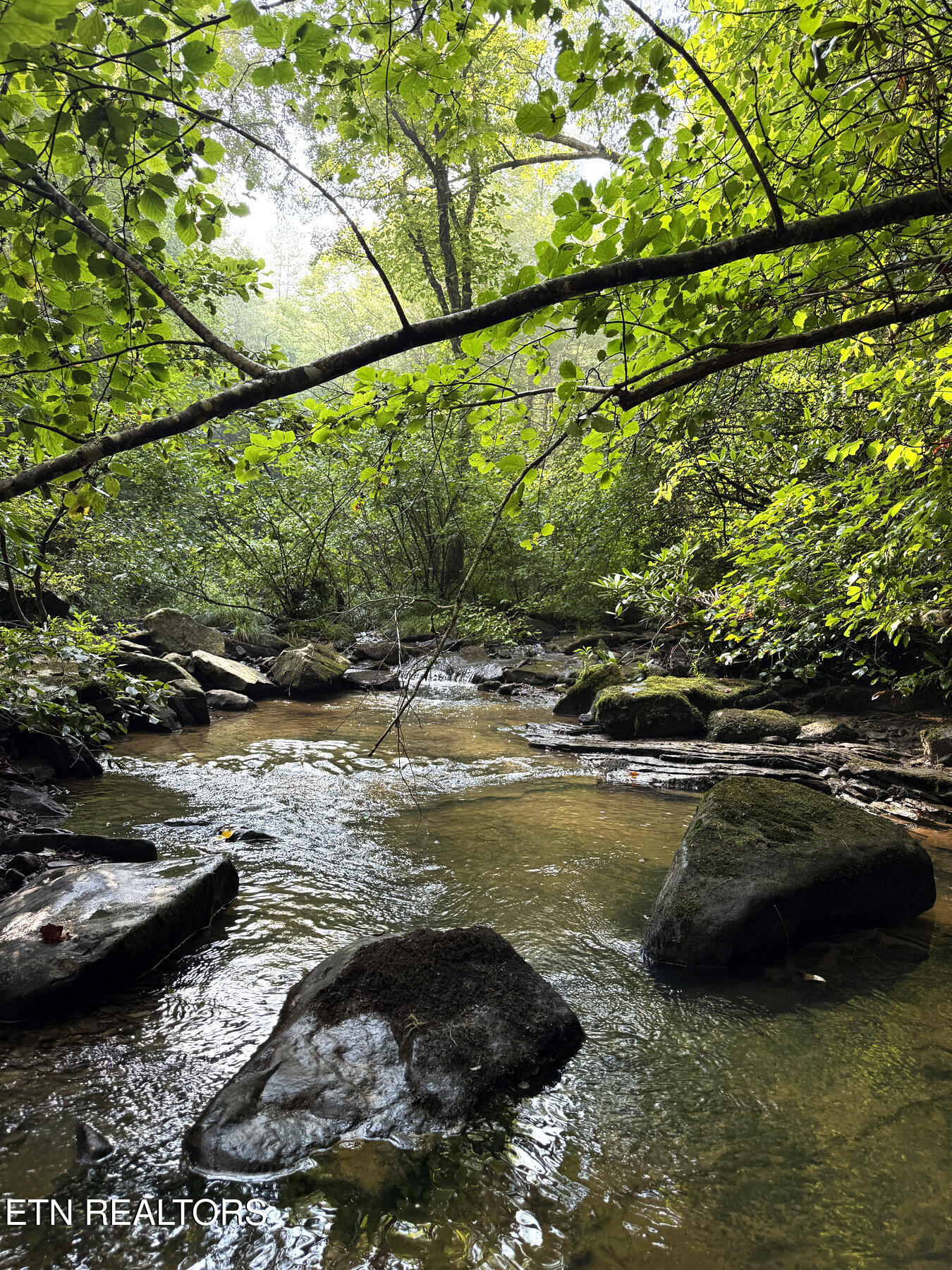 0 Sheep Ranch Road Robbins, TN 37852 - Photo 27 of 36 321.2_27