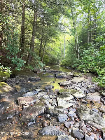 $154,900 | 0 Sheep Ranch Road, Robbins, TN 37852