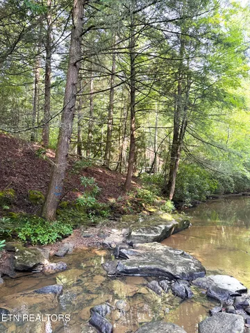 $154,900 | 0 Sheep Ranch Road, Robbins, TN 37852