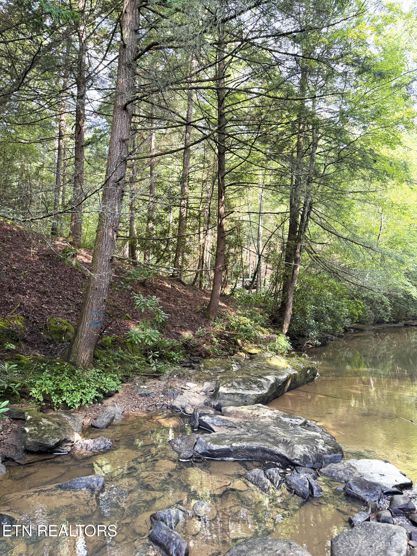 0 Sheep Ranch Road Robbins, TN 37852 - Photo 29 of 36 321.2_29