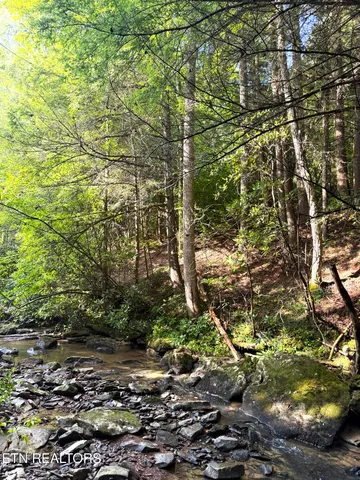 $154,900 | 0 Sheep Ranch Road, Robbins, TN 37852